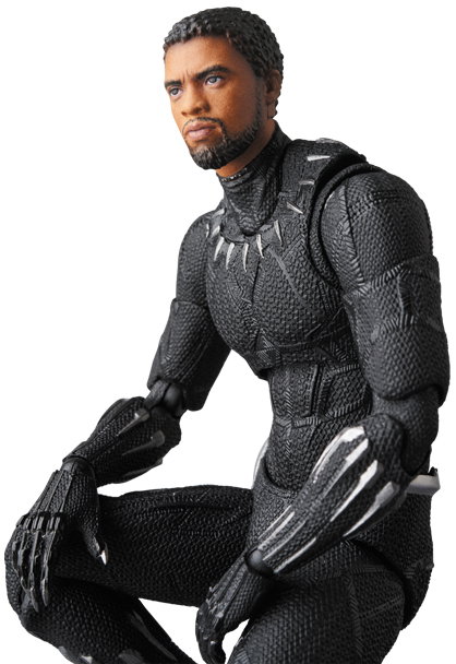 BLACK PANTHER image 2
