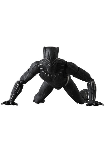 BLACK PANTHER image 8