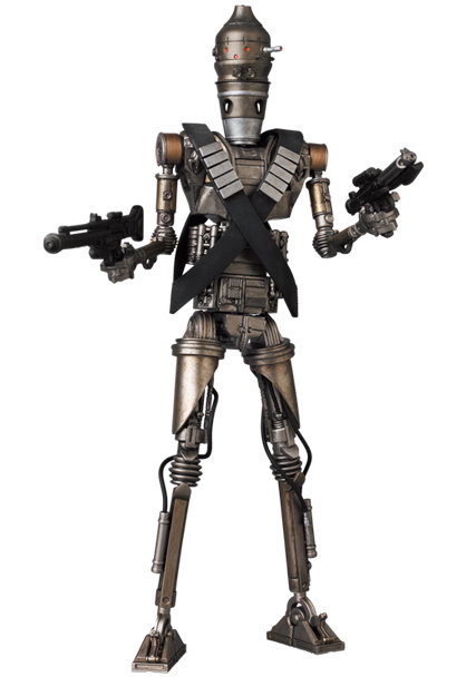 IG-11 image 1