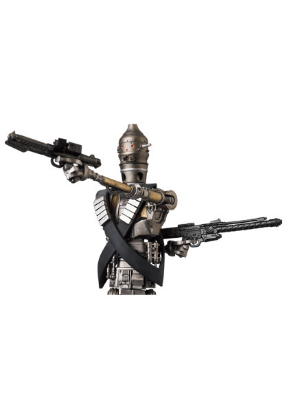 IG-11 image 2