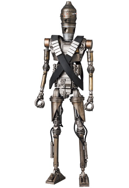 IG-11 image 3