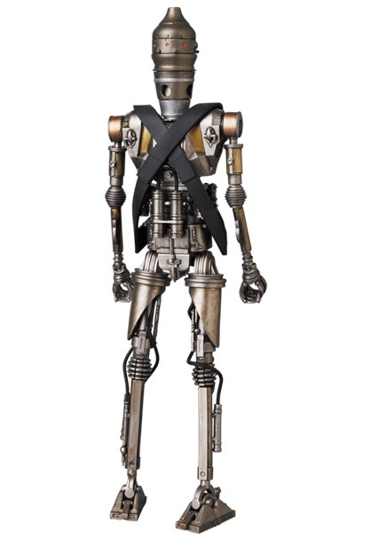 IG-11 image 4