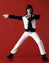 Shiro Kazami(Kamen Rider V3)