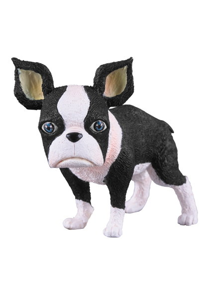 Jotaro Kujo image 5