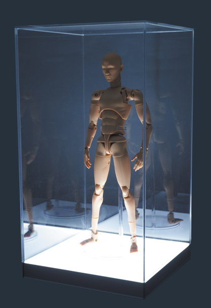 Acrylic Figure Case BasicType image 2