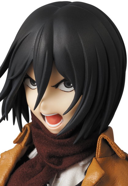 Mikasa Ackerman image 10