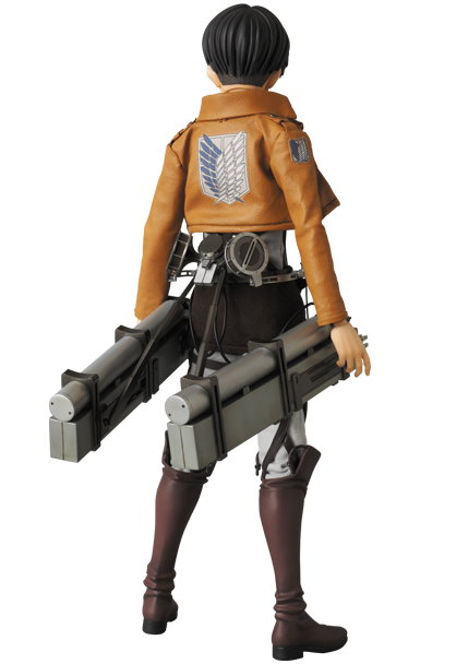 Levi image 3
