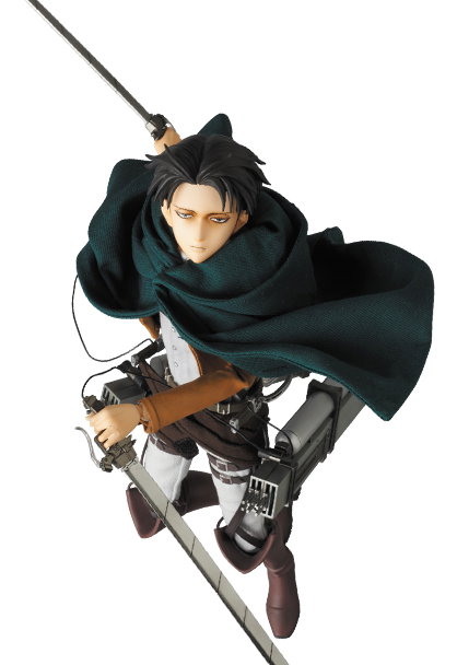 Levi image 5