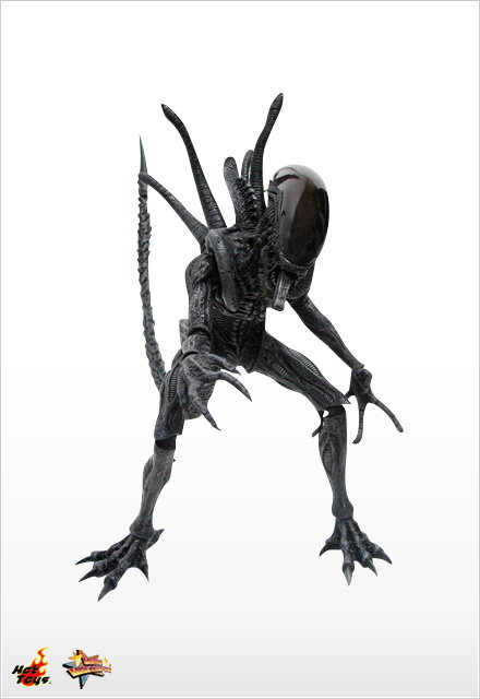 AVP - Alien Warrior image 1