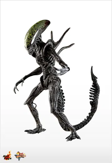 AVP - Grid Alien