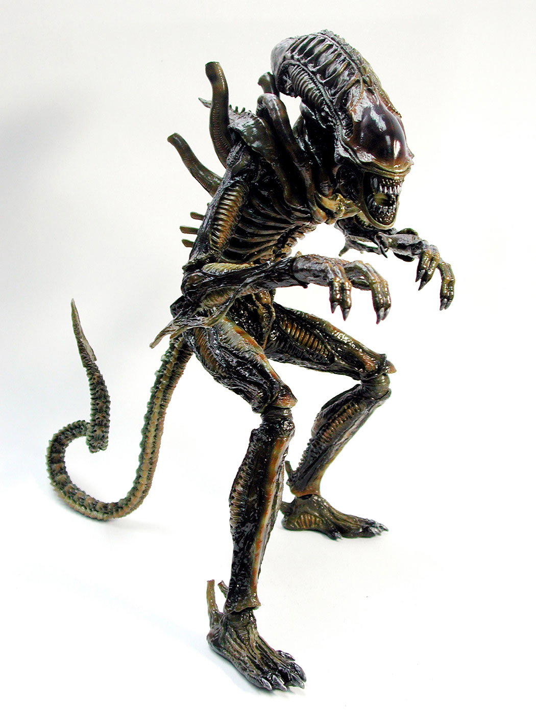Aliens - Alien Warrior (Brown Version) image 10