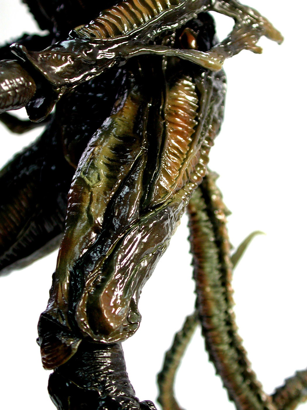 Aliens - Alien Warrior (Brown Version) image 3