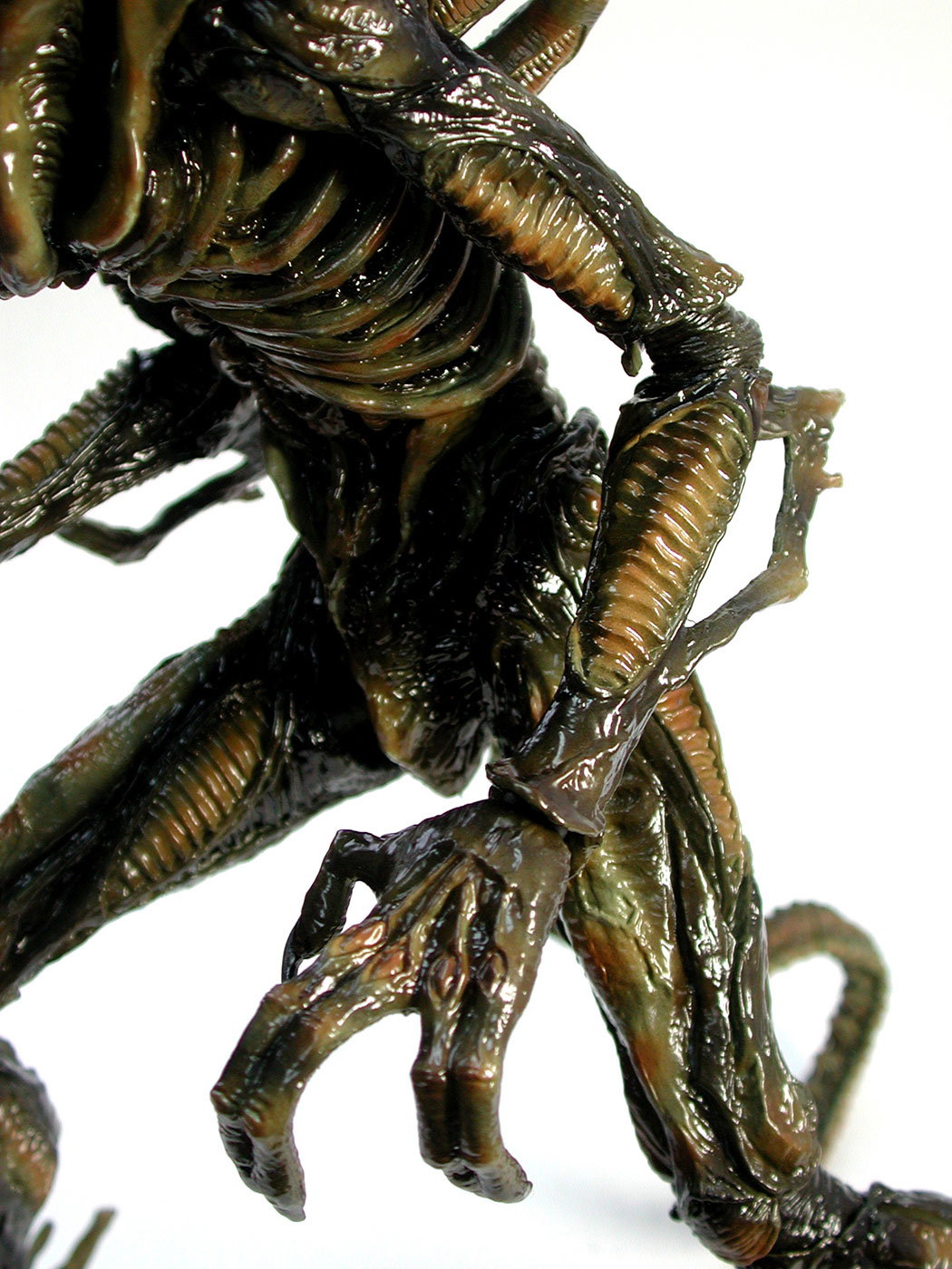 Aliens - Alien Warrior (Brown Version) image 6