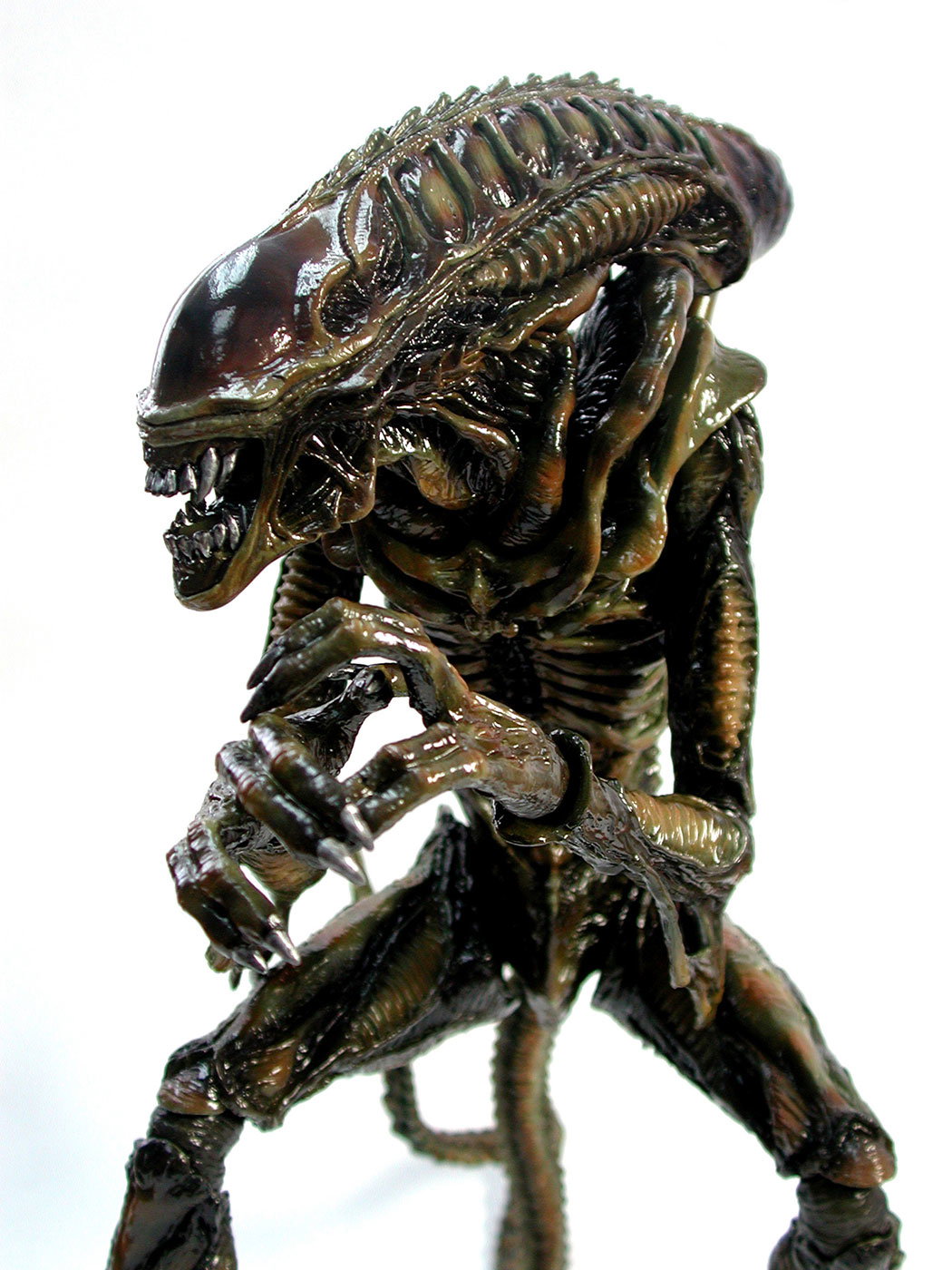 Aliens - Alien Warrior (Brown Version) image 9