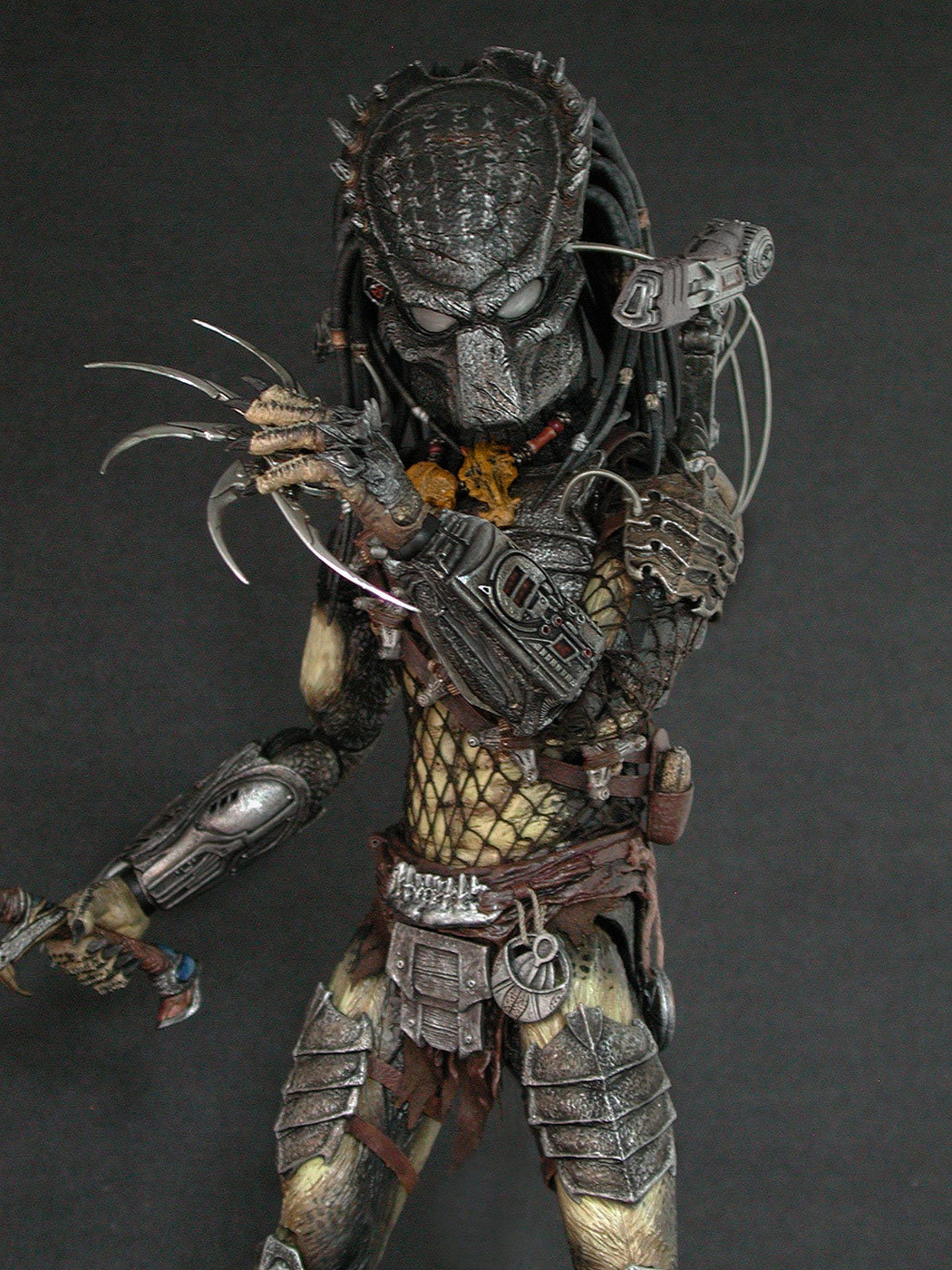 AVP-R - Predator image 10