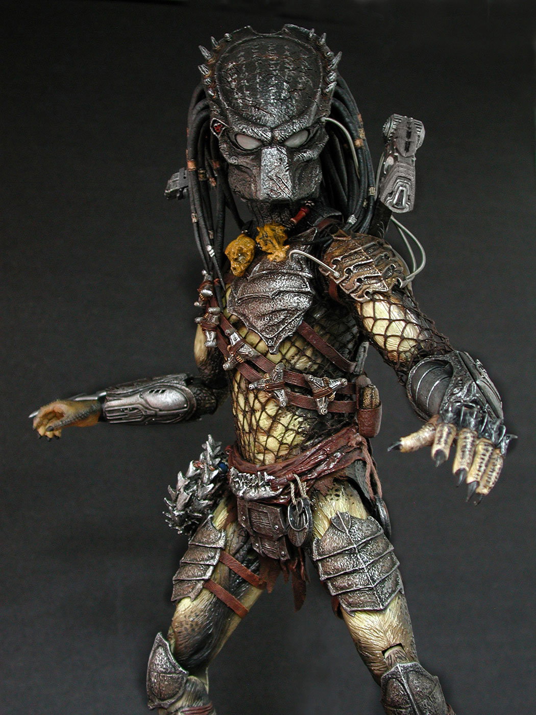 AVP-R - Predator image 2
