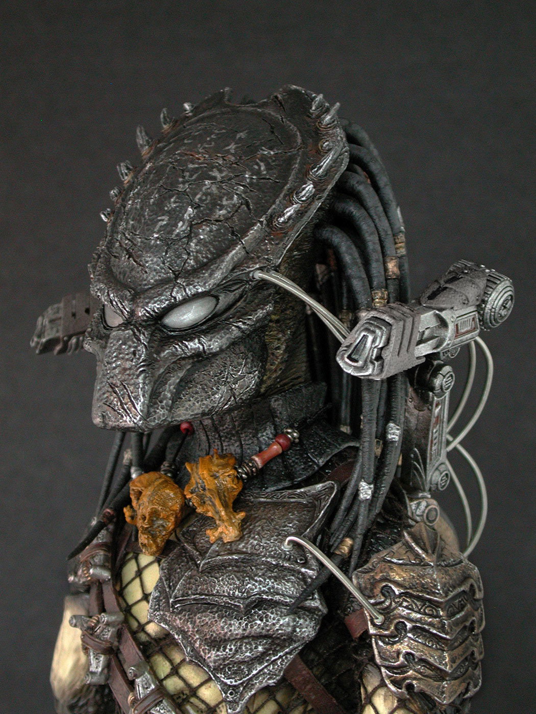 AVP-R - Predator image 3