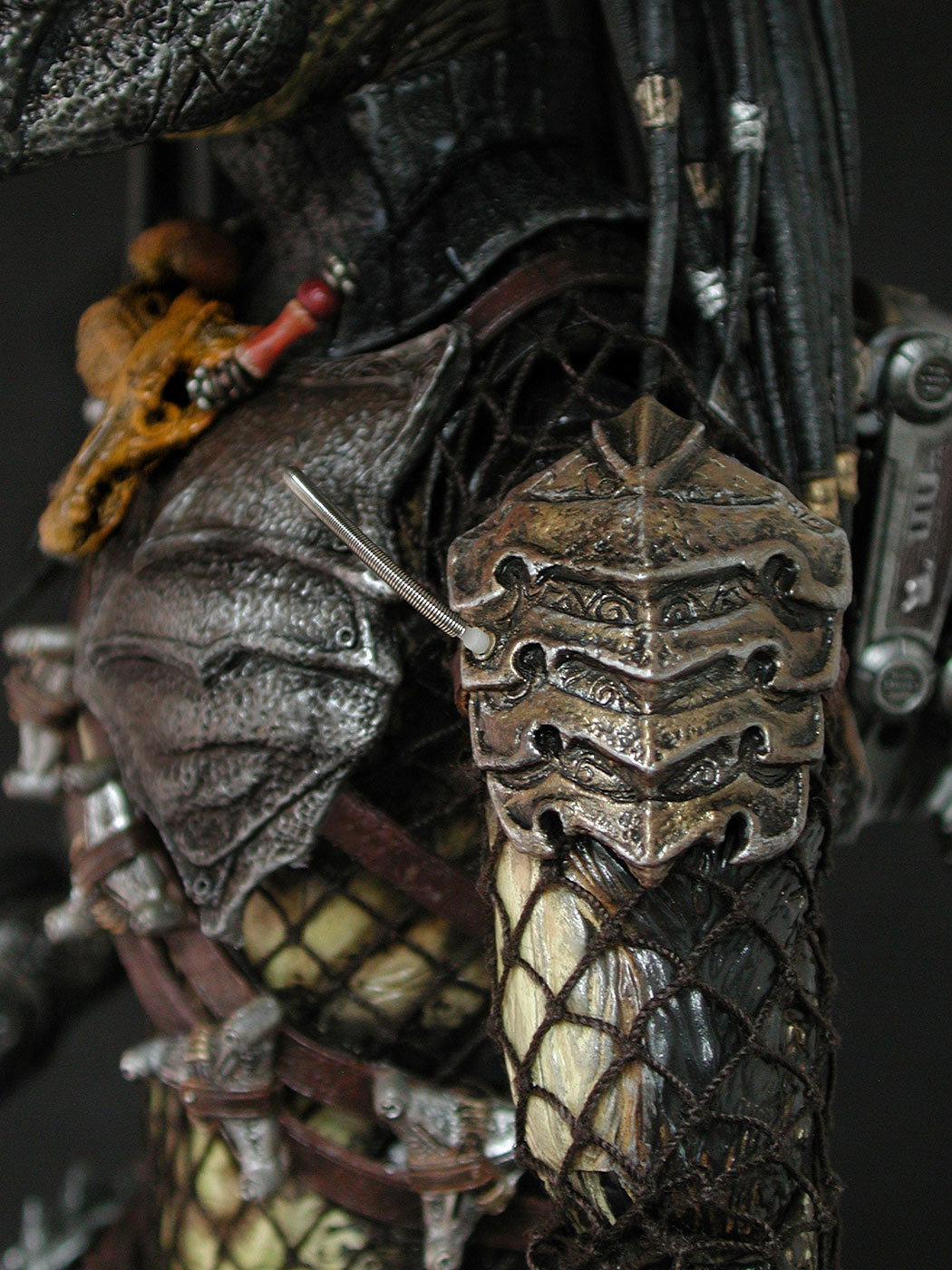 AVP-R - Predator image 5