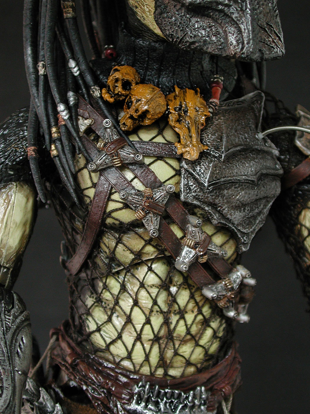 AVP-R - Predator image 6