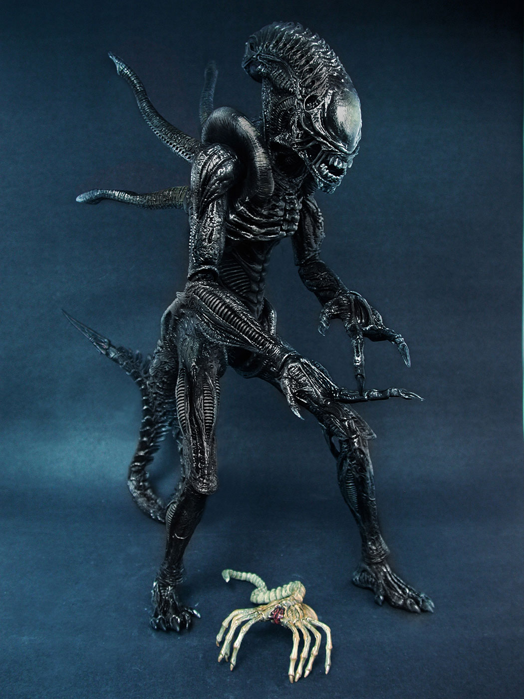 AVP-R - Alien Warrior image 3