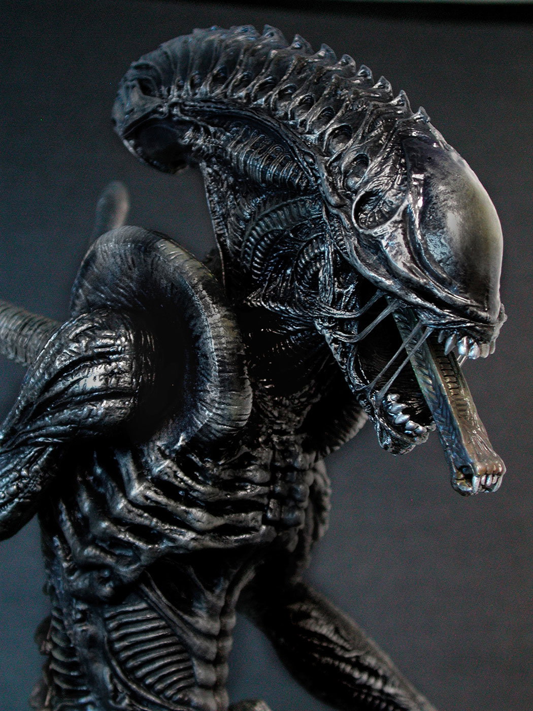 AVP-R - Alien Warrior image 4