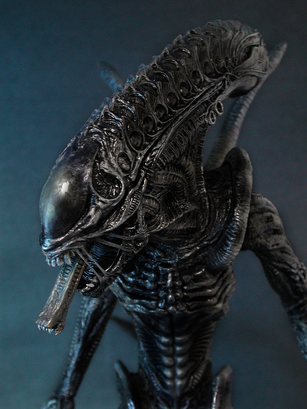 AVP-R - Alien Warrior image 5