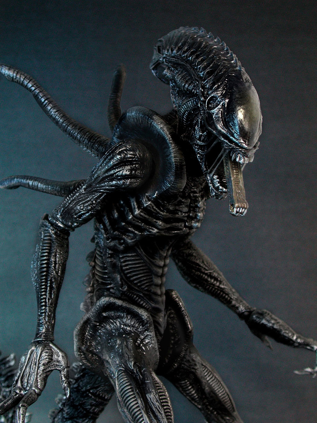 AVP-R - Alien Warrior image 6