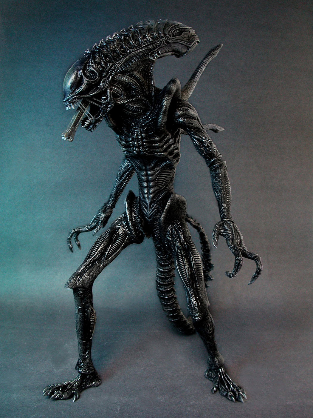 AVP-R - Alien Warrior image 7