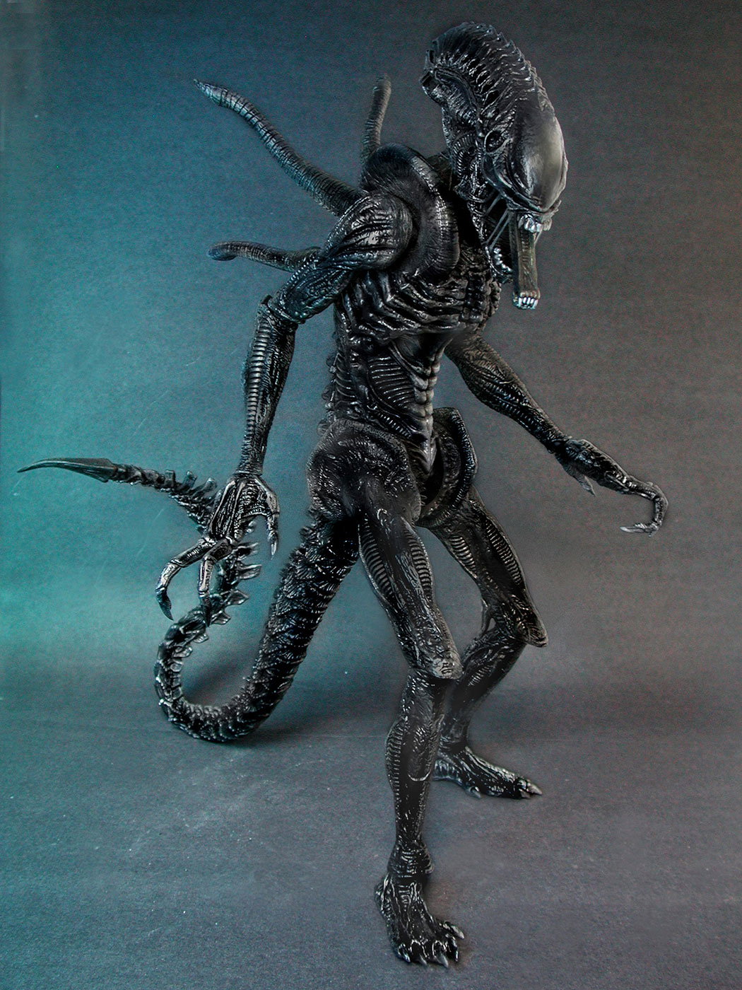 AVP-R - Alien Warrior image 8