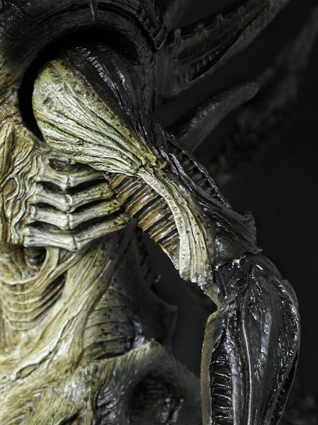 AVP-R - Predalien image 10