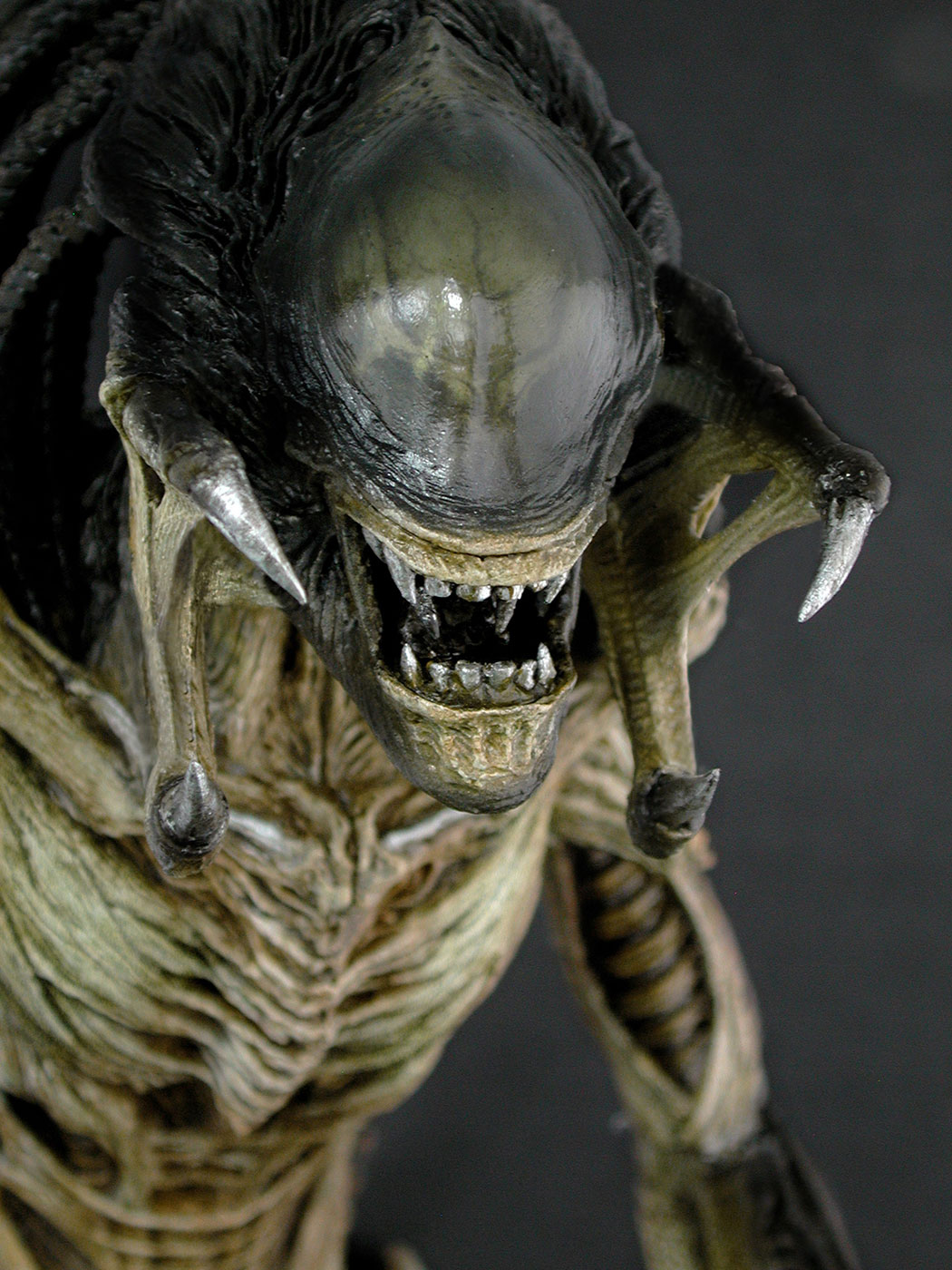AVP-R - Predalien image 2