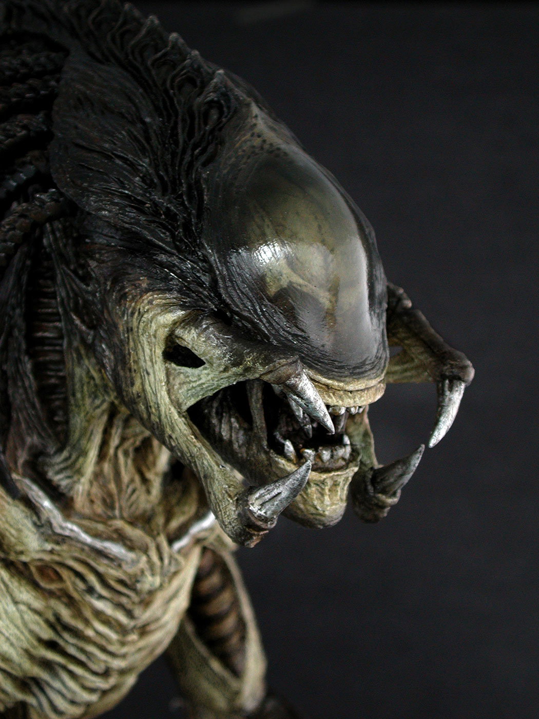 AVP-R - Predalien image 3