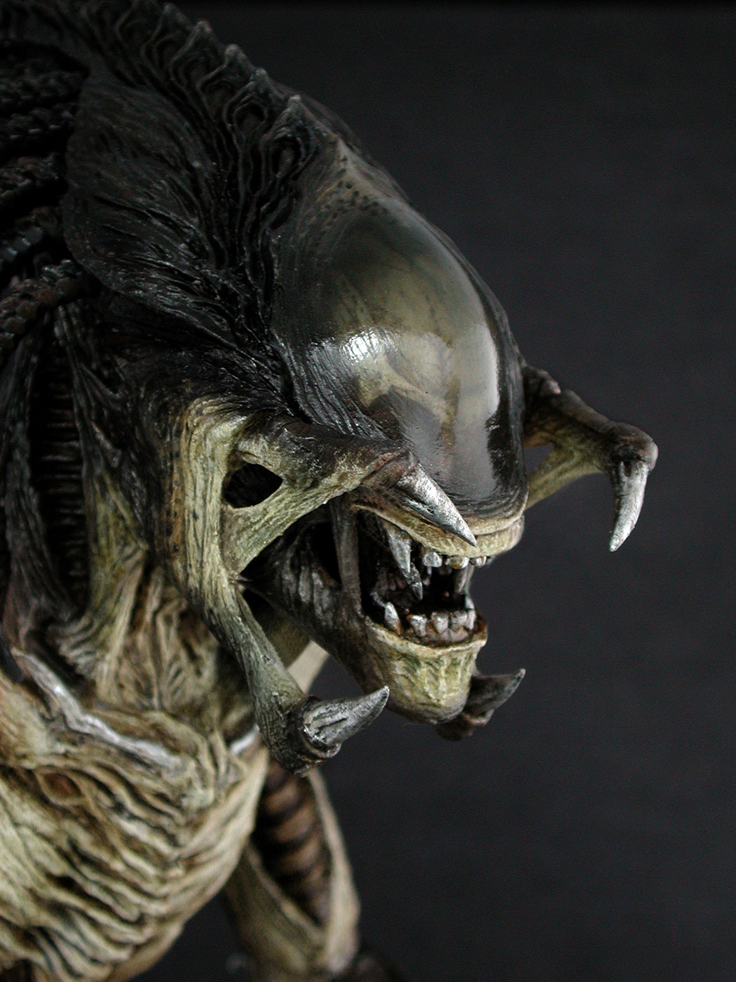 AVP-R - Predalien image 4