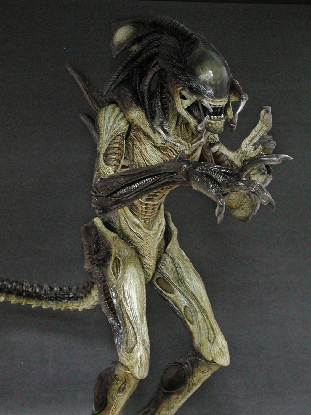 AVP-R - Predalien image 5