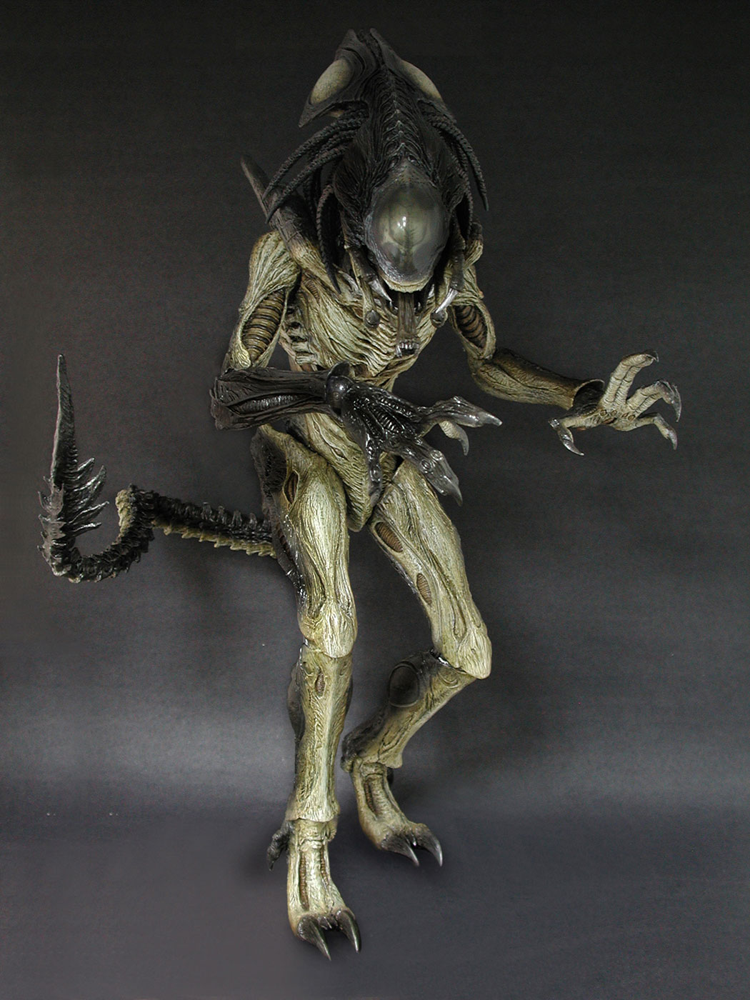 AVP-R - Predalien image 7