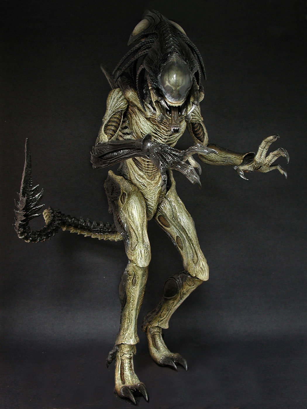 AVP-R - Predalien image 8