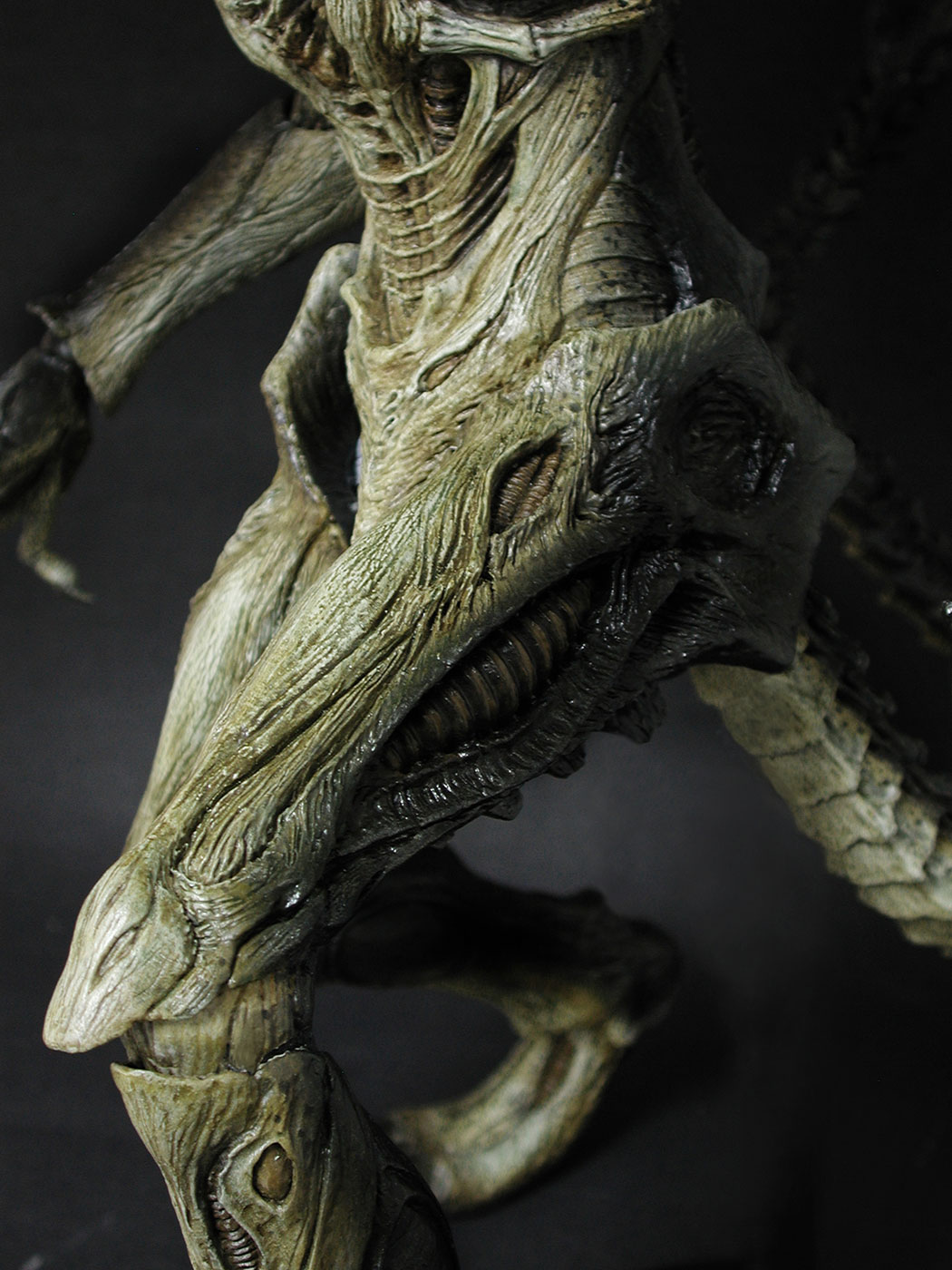 AVP-R - Predalien image 9