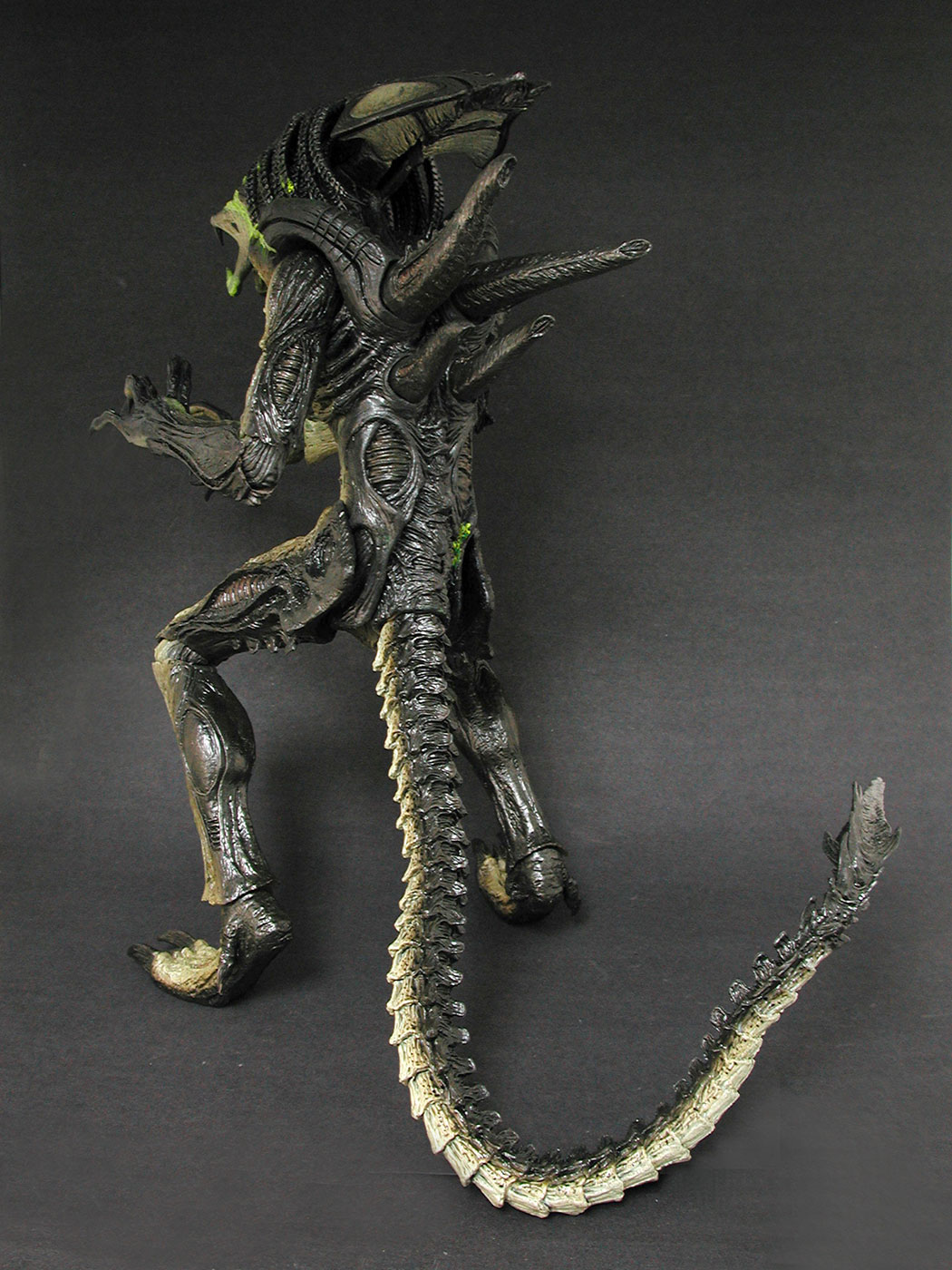 AVP-R - Predalien (Battle Damaged Version) image 6