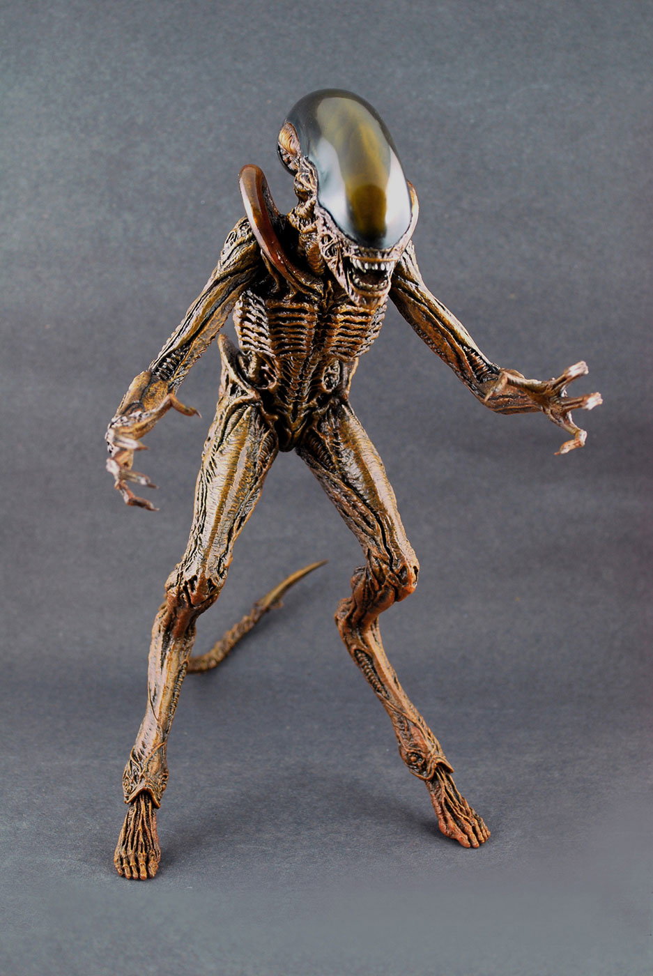 Alien 3 - Dog Alien image 10