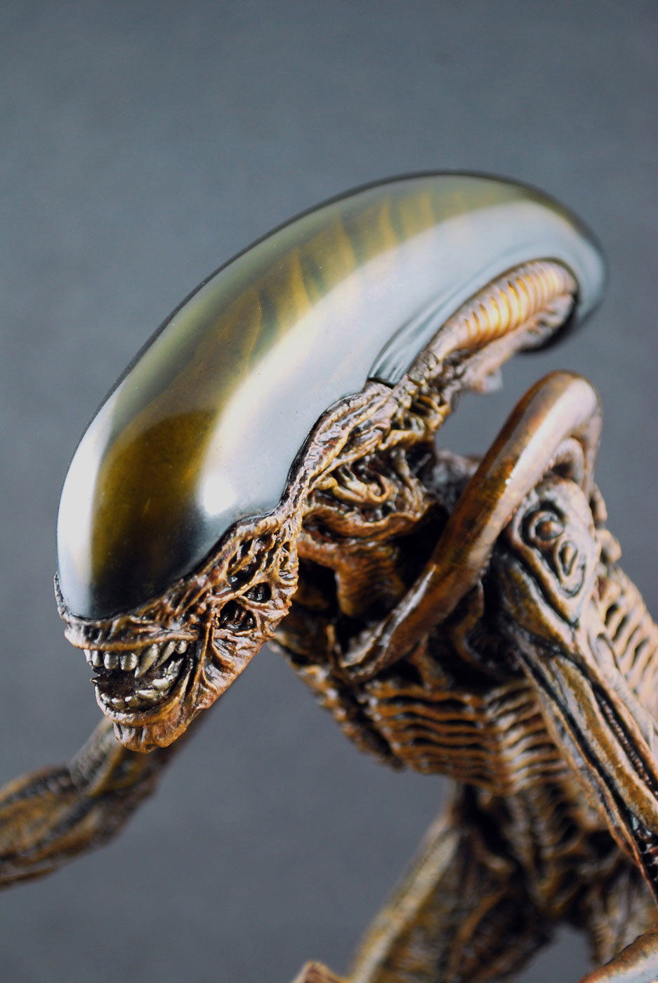 Alien 3 - Dog Alien image 2