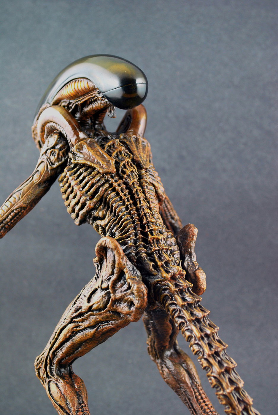 Alien 3 - Dog Alien image 3