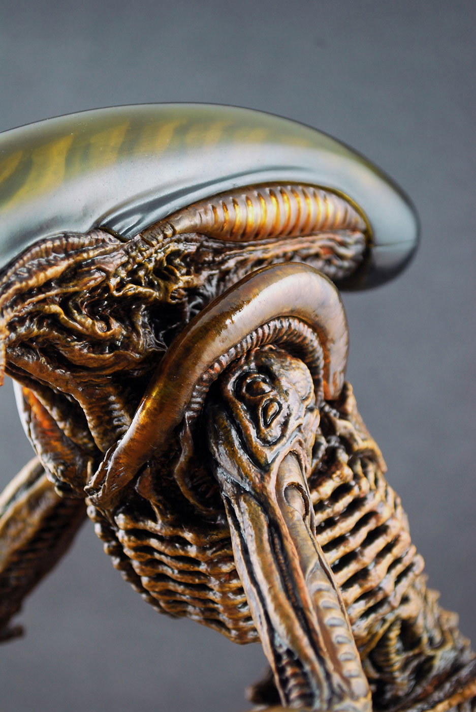 Alien 3 - Dog Alien image 4