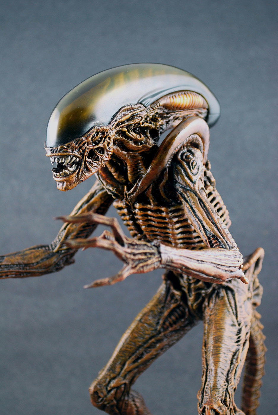 Alien 3 - Dog Alien image 5