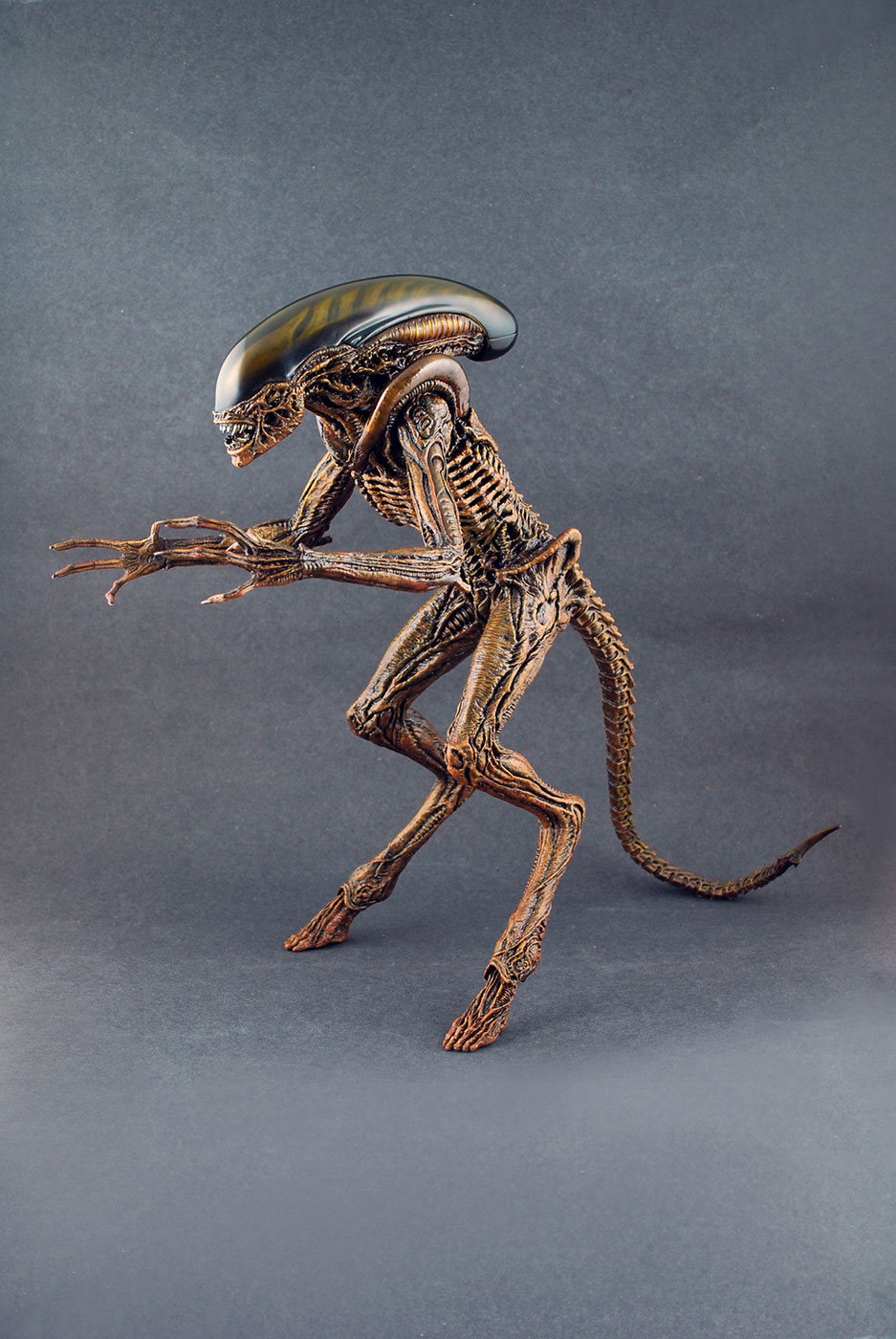 Alien 3 - Dog Alien image 6