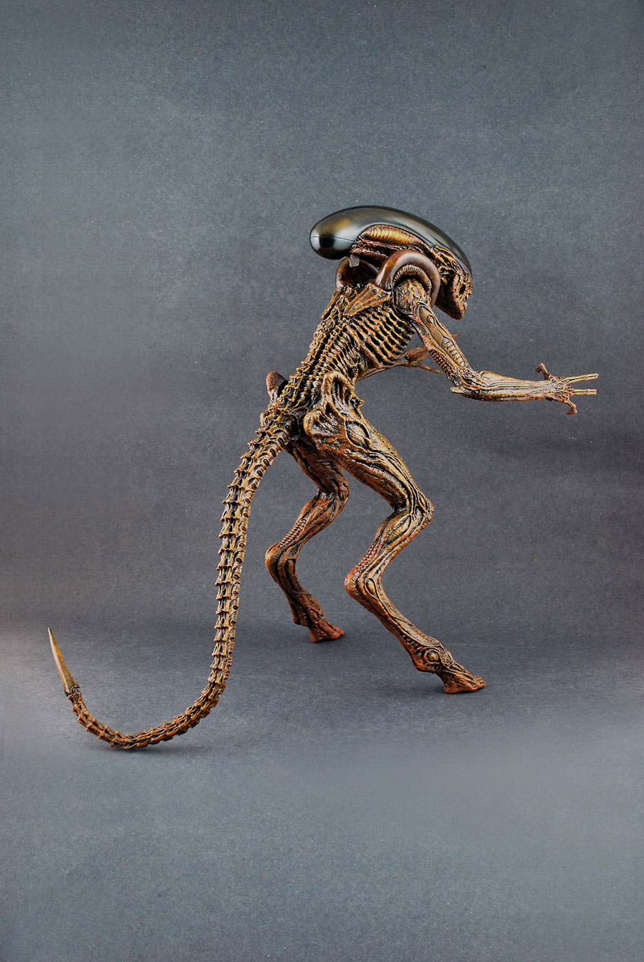 Alien 3 - Dog Alien image 7
