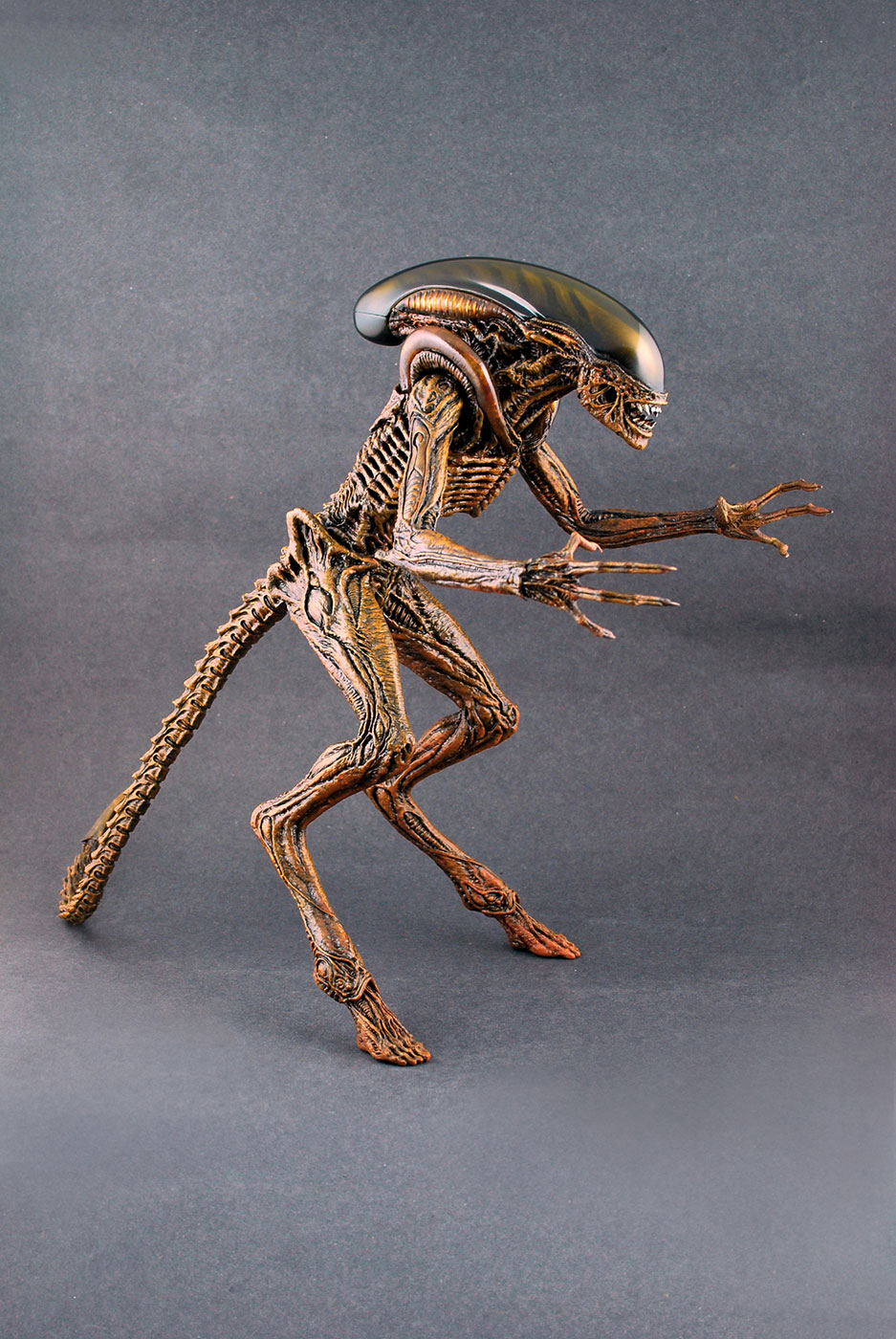 Alien 3 - Dog Alien image 8