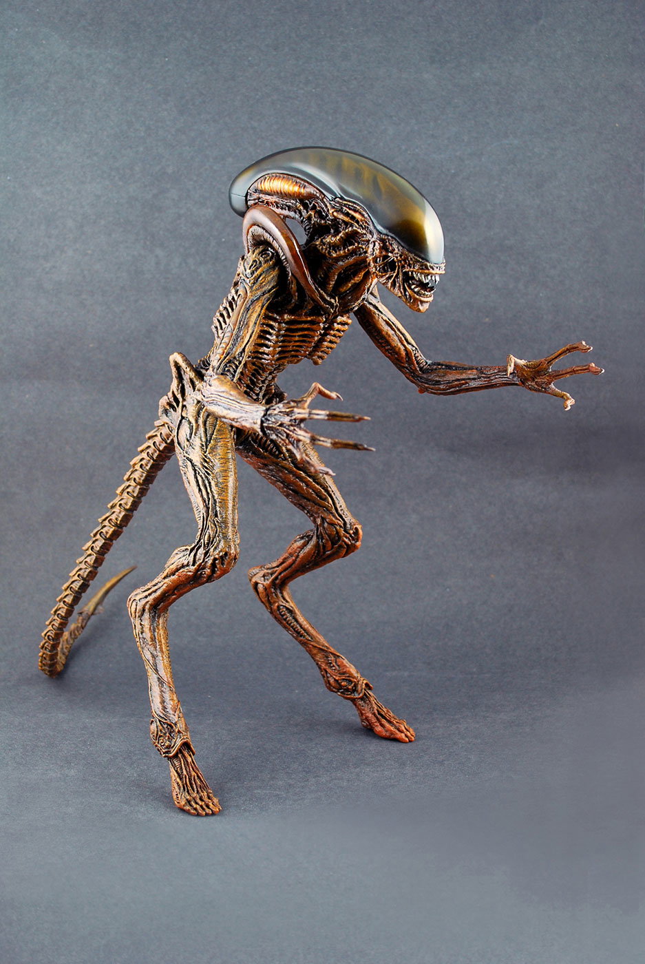 Alien 3 - Dog Alien image 9