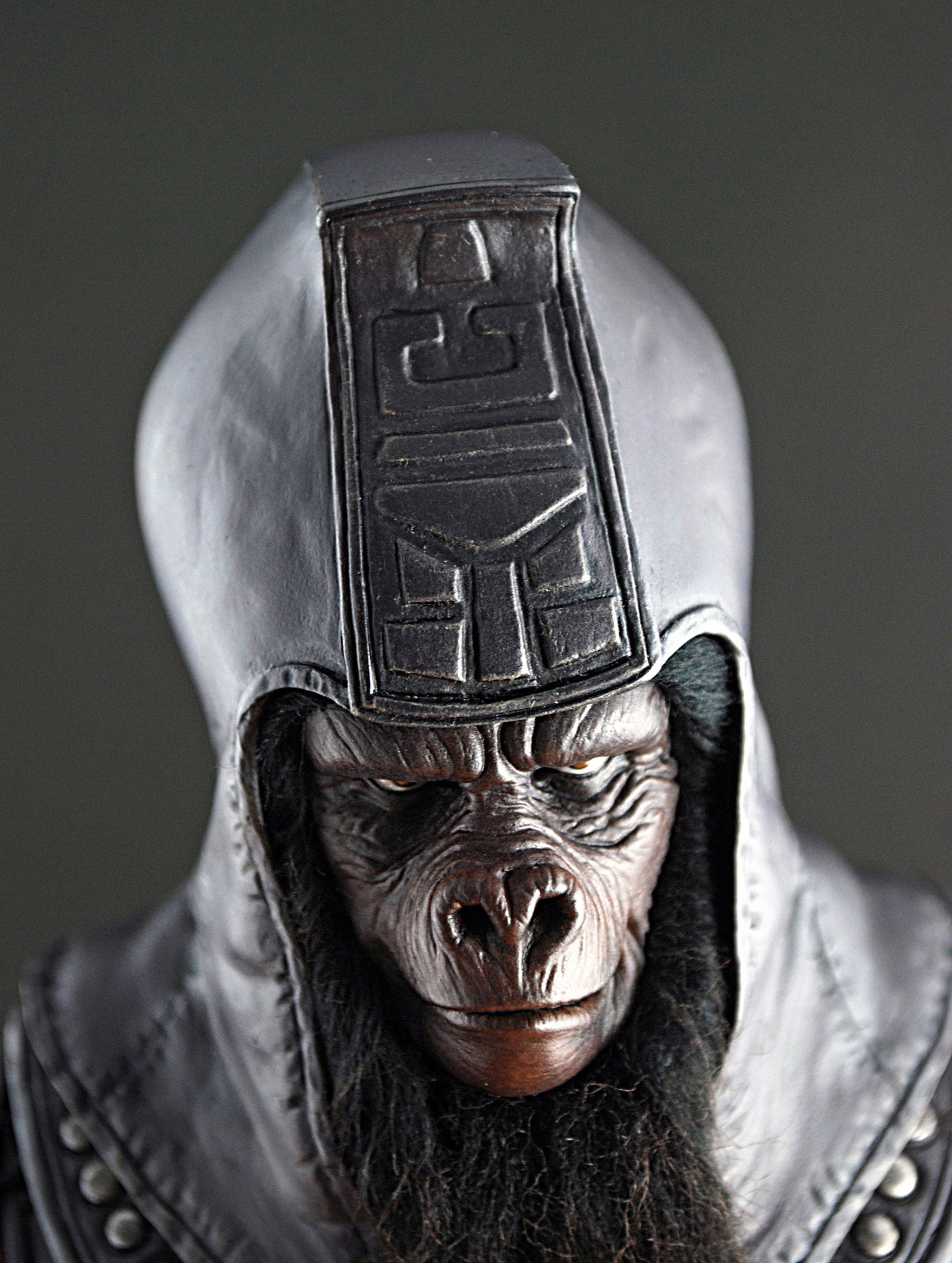 Planet Of The Apes - General Ursus image 1