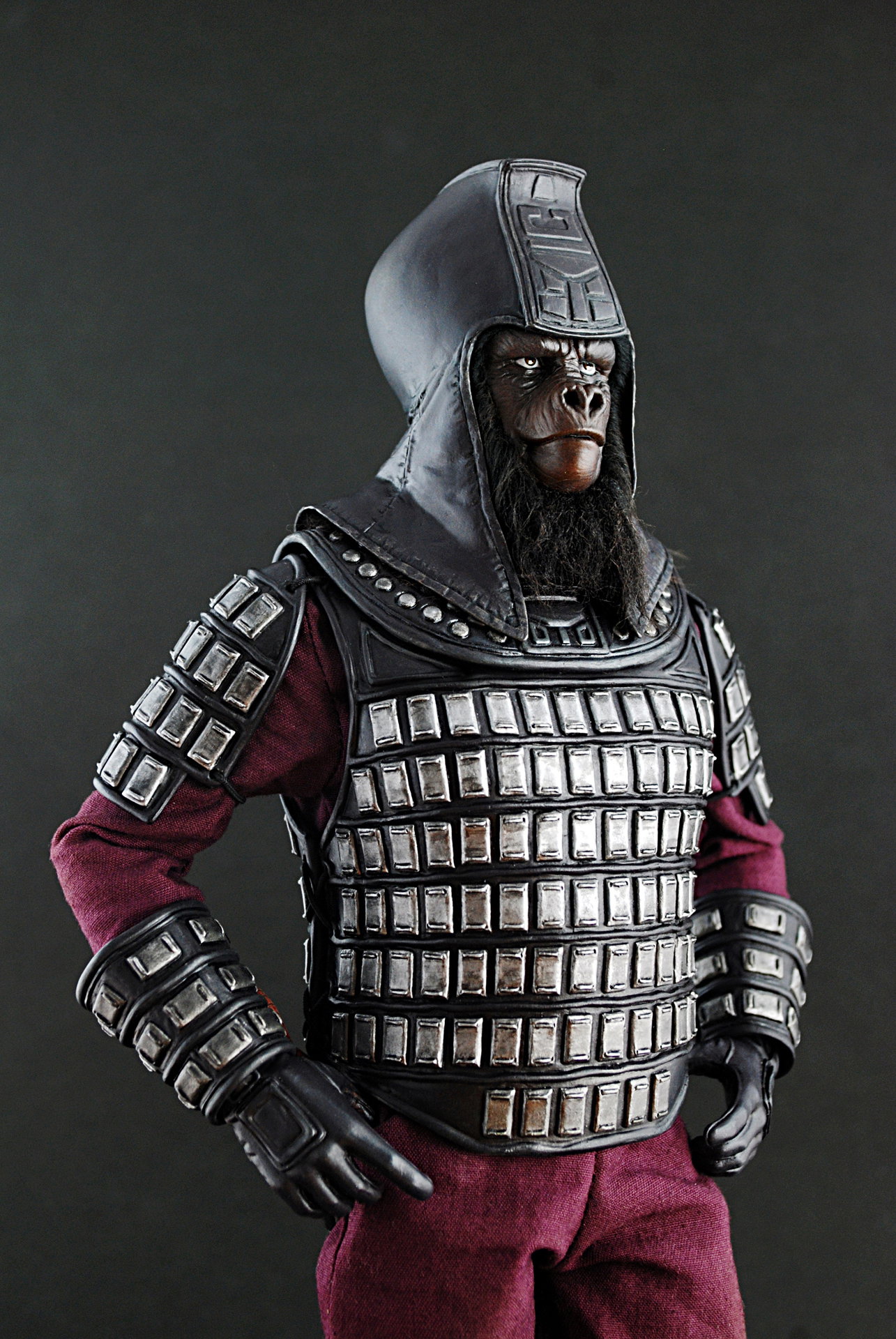 Planet Of The Apes - General Ursus image 5