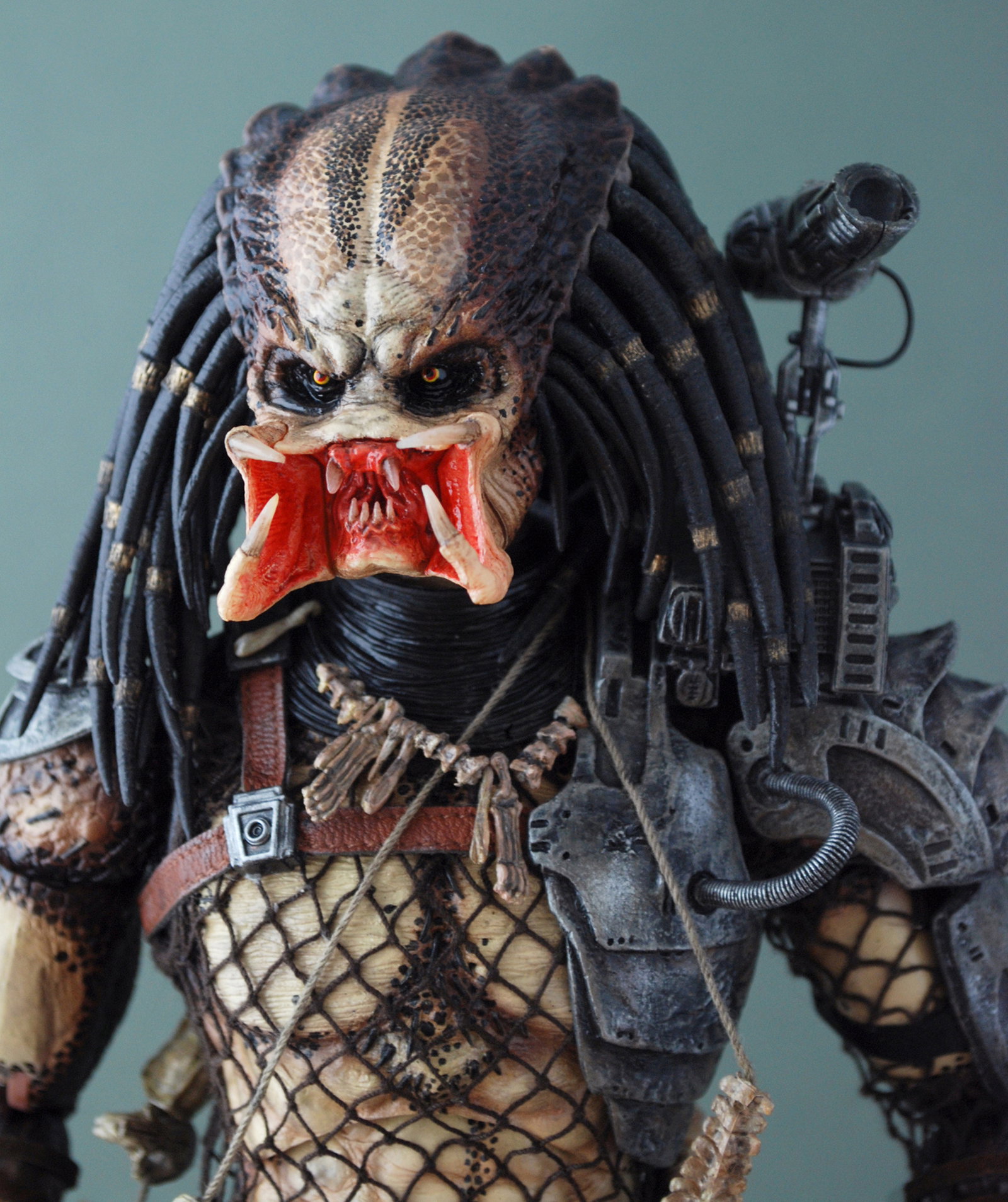 Predator - Predator image 10